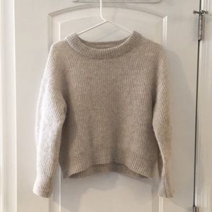 Everlane oversized Alpaca wool crew neck sweater - almond